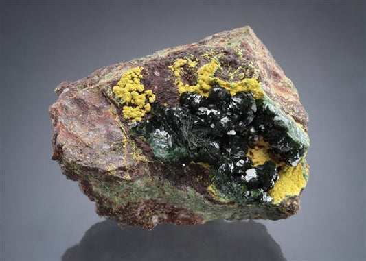 CC19489 specimen image