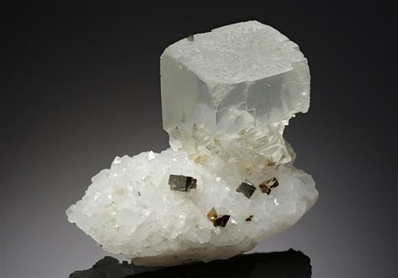 CC19525 specimen image