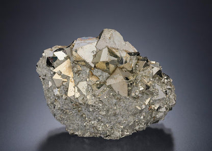 CC19527 specimen image