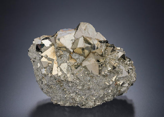 CC19527 specimen image