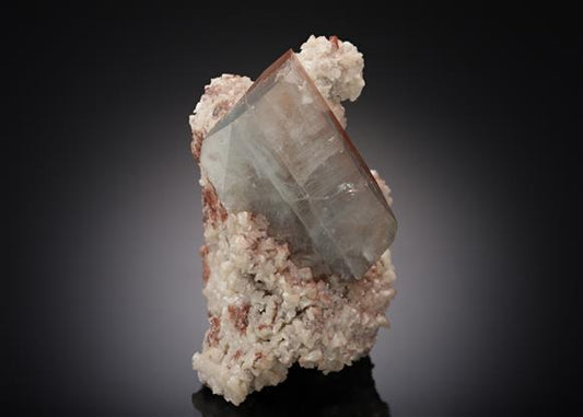CC19536 specimen image