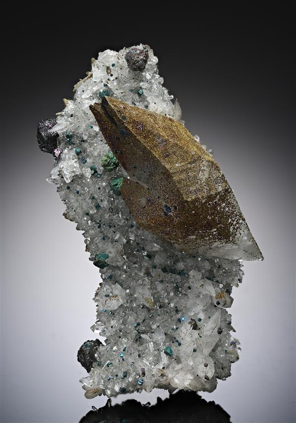 CC19538 specimen image