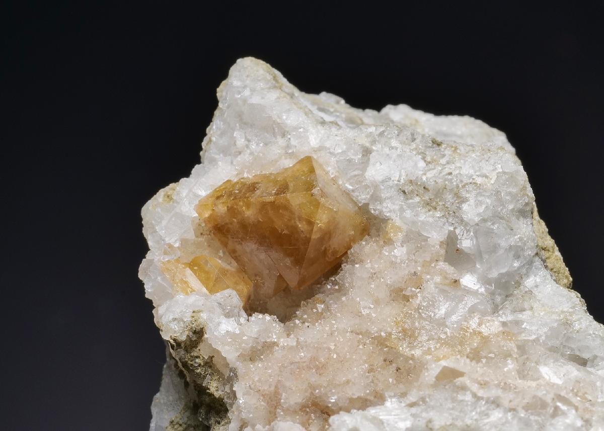 CC19550 specimen image
