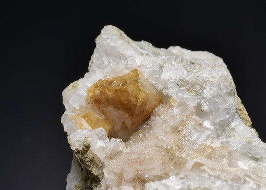 CC19550 specimen image