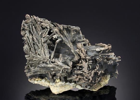 CC19573 specimen image