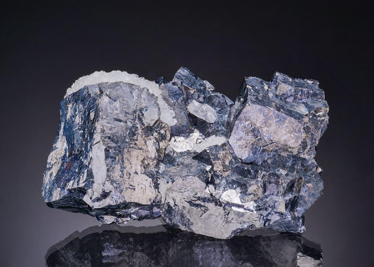CC19578 specimen image