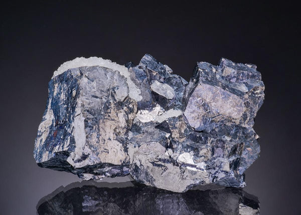 CC19578 specimen image