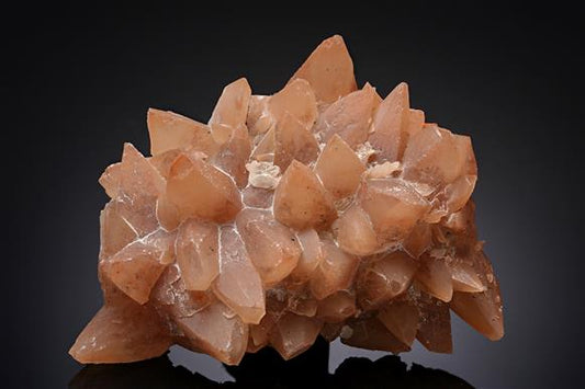 CC19581 specimen image