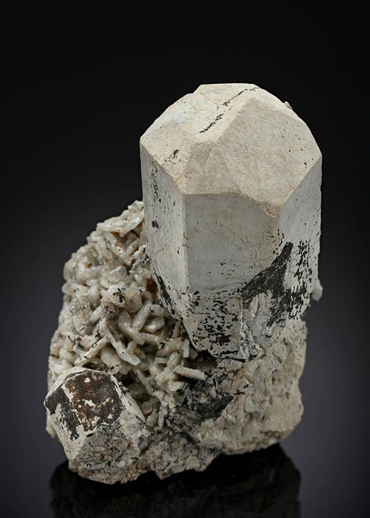 CC19602 specimen image