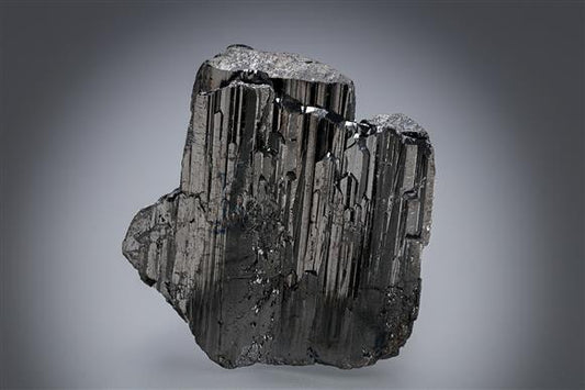 CC19606 specimen image