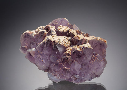 CC19624 specimen image