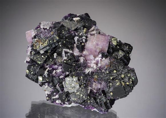 CC19632 specimen image