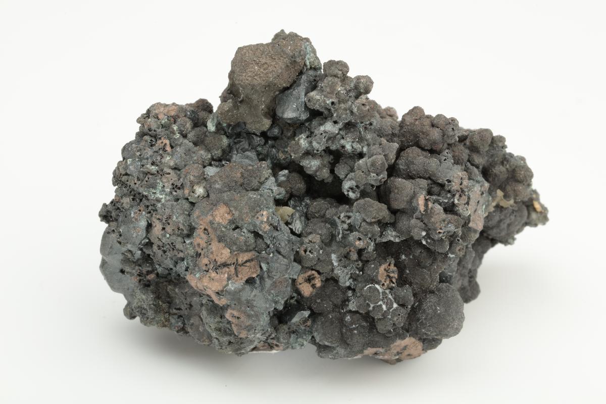 CC19634 specimen image