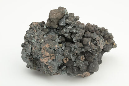 CC19634 specimen image