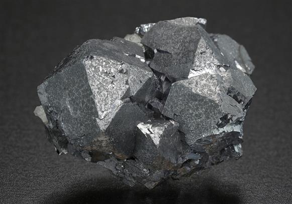 CC19637 specimen image