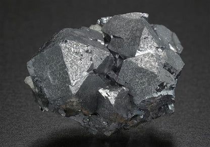 CC19637 specimen image