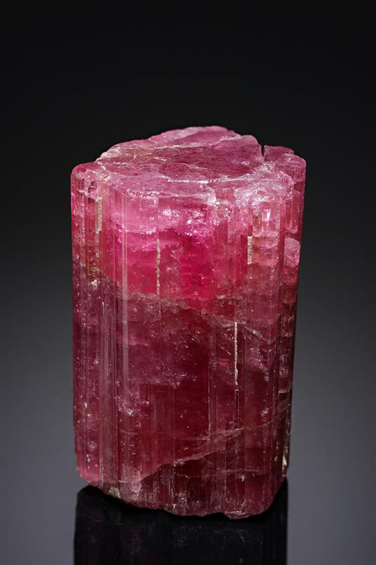 CC19638 specimen image