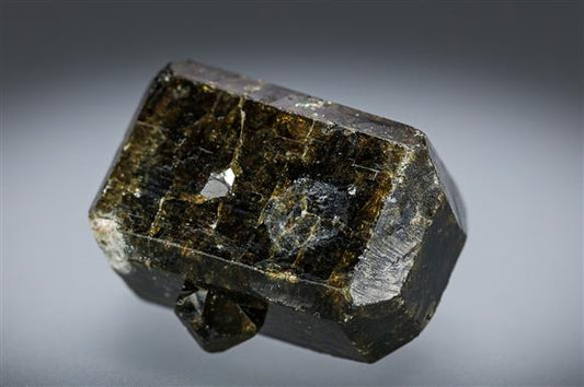 CC19641 specimen image