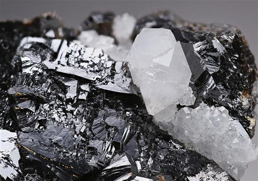 CC19643 specimen image