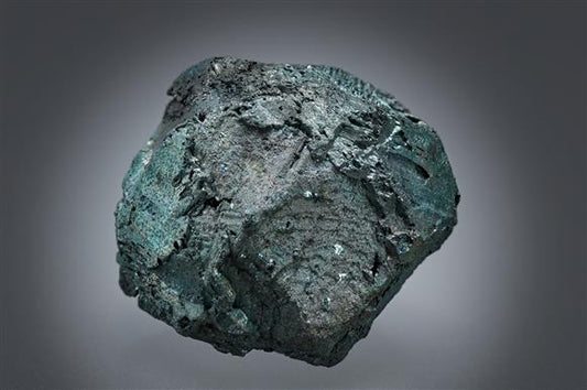 CC19644 specimen image