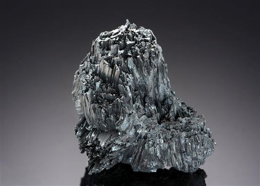 CC19645 specimen image