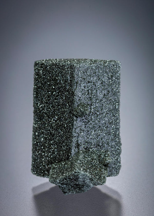 CC19655 specimen image