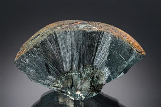 CC19656 specimen image
