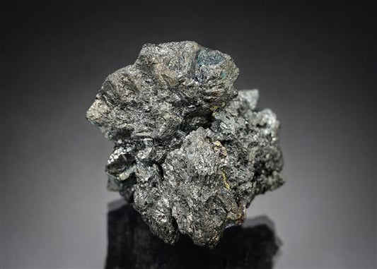 CC19661 specimen image