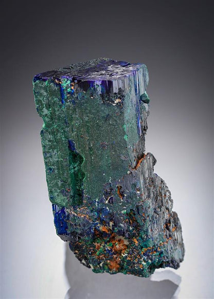 CC19663 specimen image