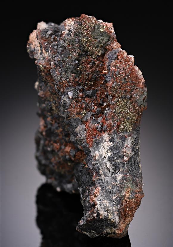 CC19675 specimen image