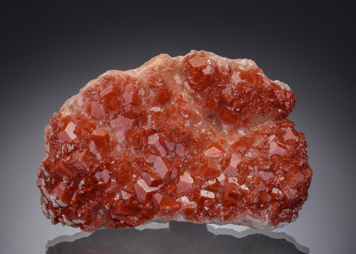 CC19691 specimen image