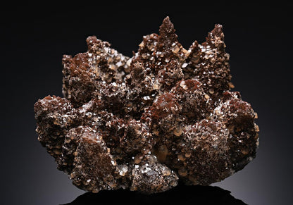 CC19698 specimen image