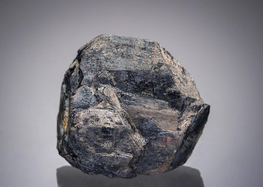 CC19703 specimen image