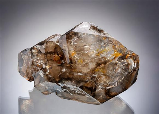 CC19712 specimen image