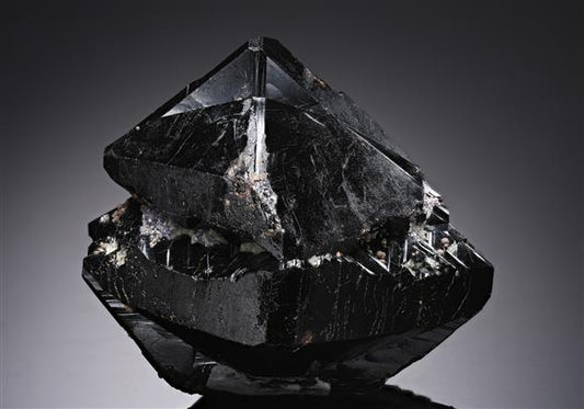 CC19716 specimen image