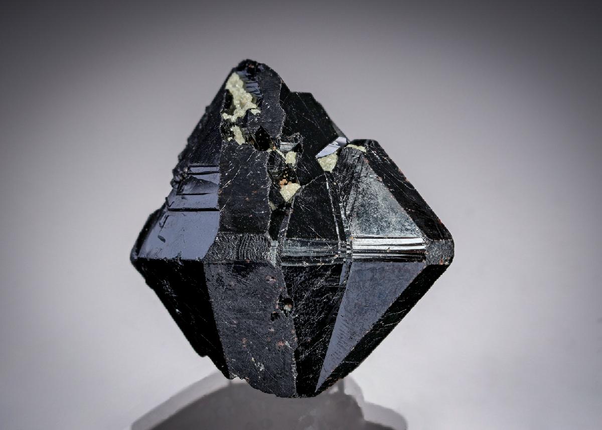 CC19717 specimen image