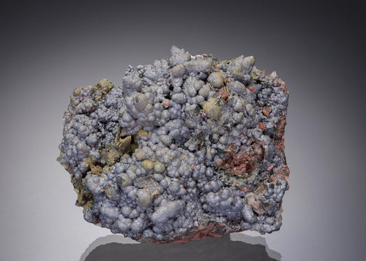 CC19721 specimen image