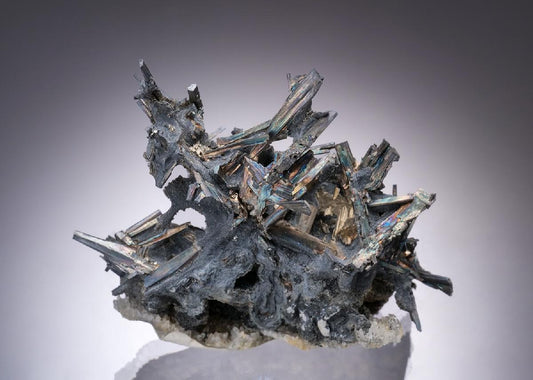 CC19722 specimen image
