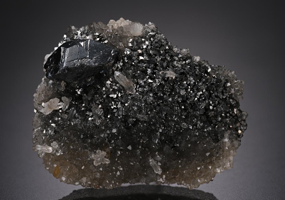 CC19726 specimen image