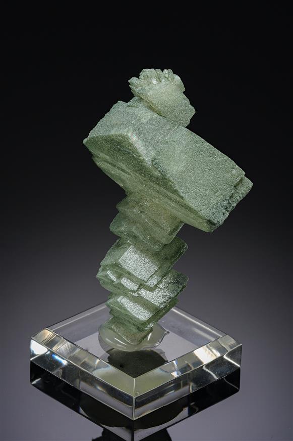 CC19730 specimen image