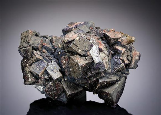 CC19736 specimen image