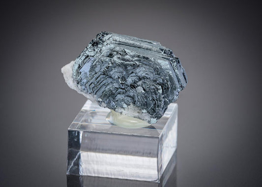 CC19739 specimen image
