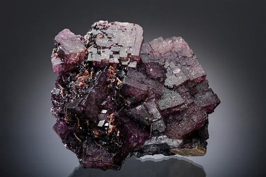 CC19742 specimen image