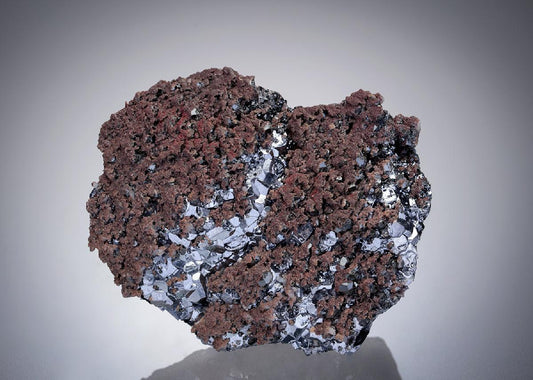 CC19754 specimen image