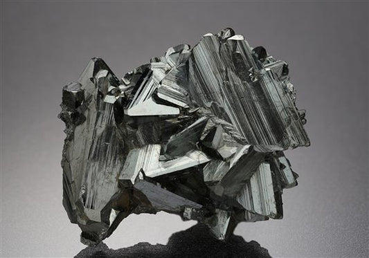 CC19759 specimen image