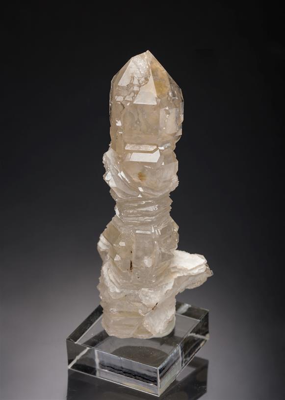 CC19765 specimen image