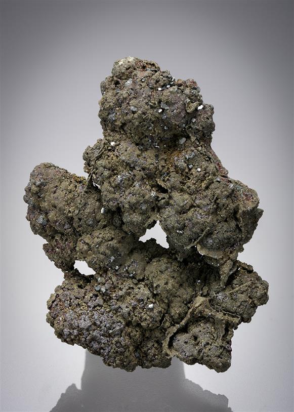 CC19766 specimen image