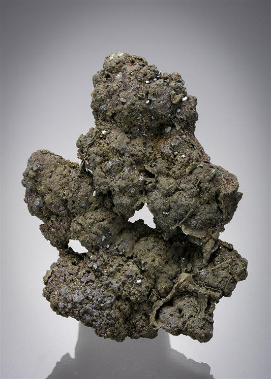 CC19766 specimen image
