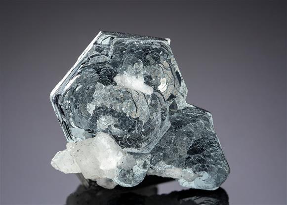 CC19773 specimen image
