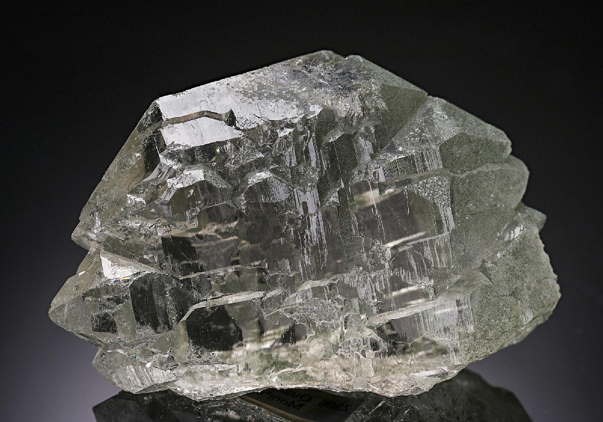 CC19776 specimen image